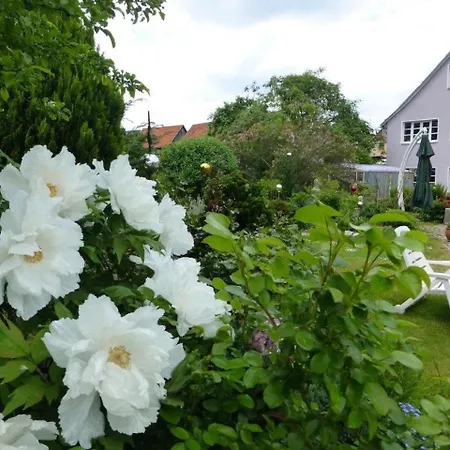 Cozy In Tabarz Thuringia Near Forest * Cabarz